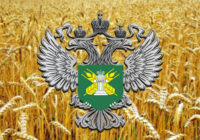 Требования законодательства РФ в области карантина растений соблюдаются в полном обьеме.