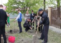 В Ессентуках полицейские и школьники высадили яблоневый сад
