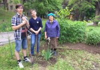 Молодежные активисты и экологи благоустраивают улицы Кисловодска