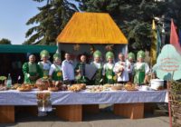 На Ставрополье отметили праздник хлеба