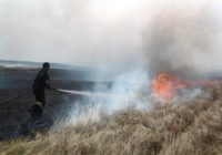Пожарные ликвидировали возгорание сухой растительности