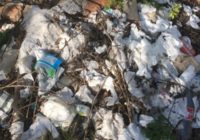 Пятигорчан возмутил мусор на горе Бештау