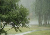 Синоптики прогнозируют ливневые дожди и сильный ветер