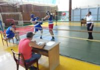 Спортивная мозаика: бокс, баскетбол, художественная гимнастика