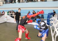 В Железноводске обсудят возрождение казачьего бокса