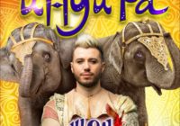 Мировое шоу слонов в кисловодском цирке