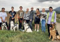 В Пятигорске организованы занятия по гонкам на собачьих упряжках